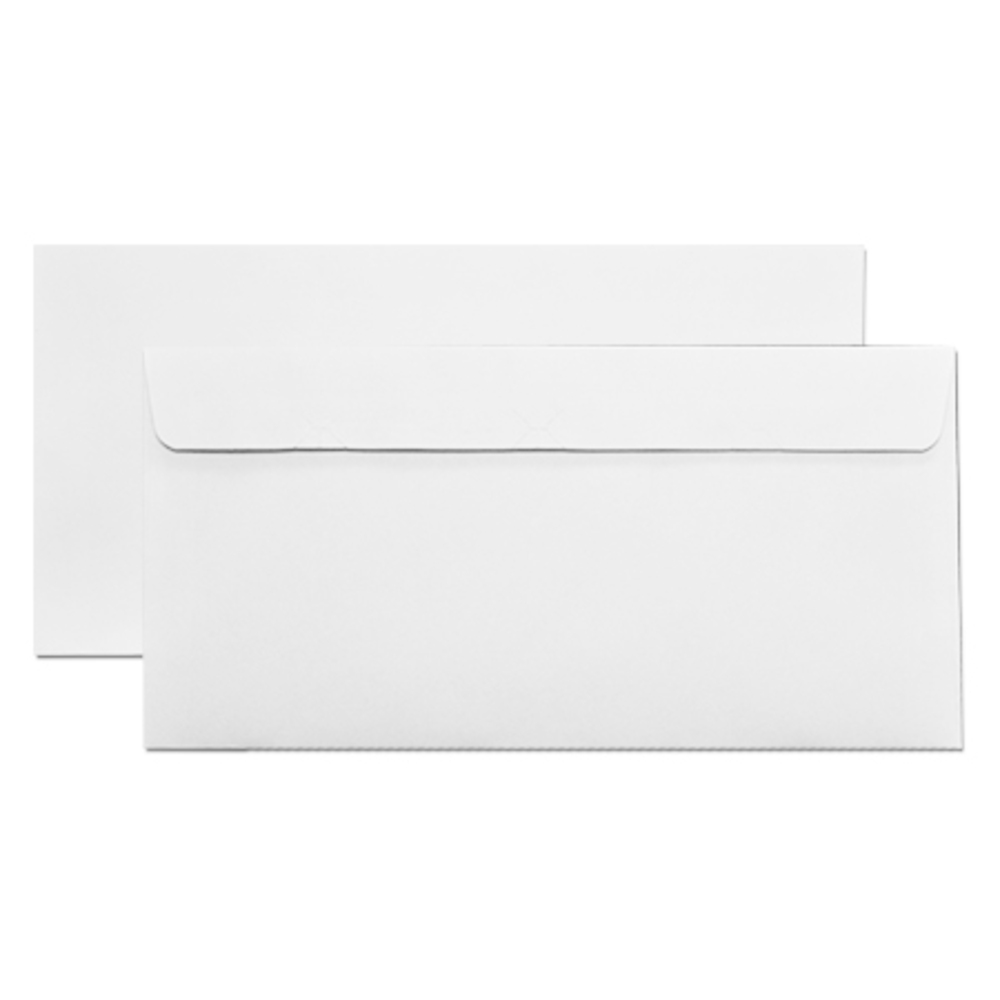 Imprinted License Plate Envelopes / Mailers | Auto Dealer Supplies
