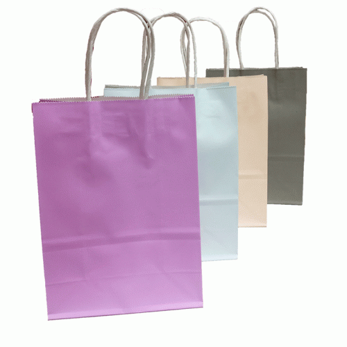 Paper Gift Bag Kraft [22*16*8 cm]
Assorted Pastel Colours
WTC - Image 2