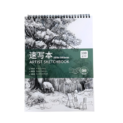 Sketch Book Artist Ref C0576
A4,30 sheets 100gsm
MeliMelo