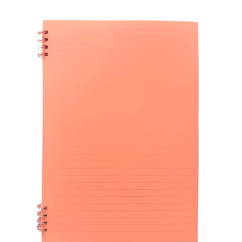 Spiral Notebook Ref PPB5080
B5,80 sheets
MeliMelo