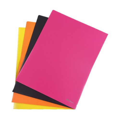 Pocket Folder Ref E38120
A4, 20 sheets, Plastic
Deli